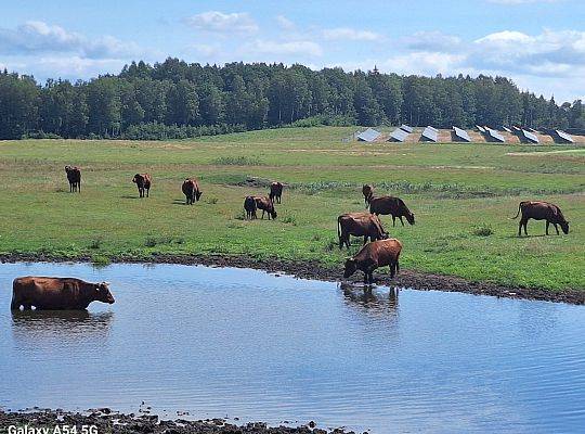 Zielone Wzgórza Warmii