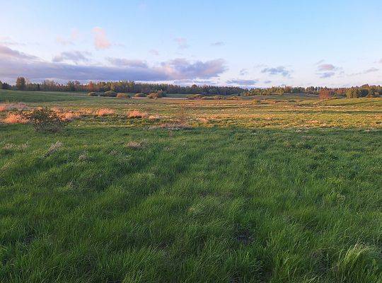 Ekologiczne gospodarstwo rolne na Warmii