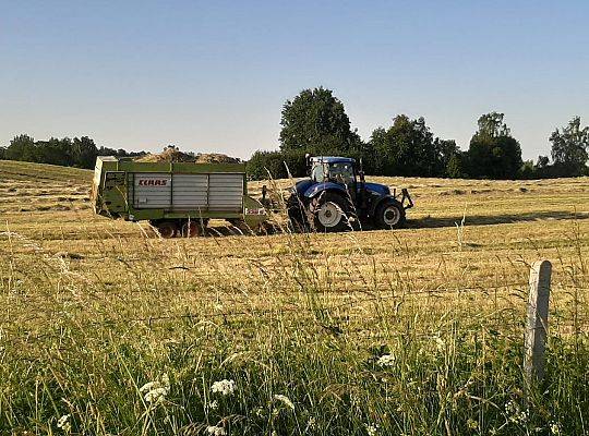 Organizacja i logistyka hodowli bydła mięsnego