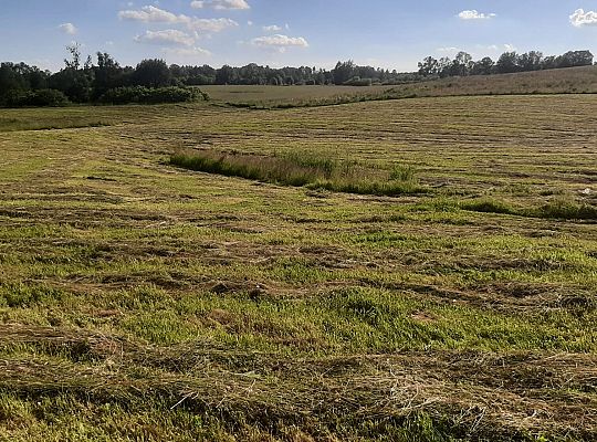 Zielone Wzgórza Warmii Gospodarstwo Rolne #2