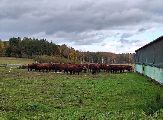 Ekologiczne gospodarstwo rolne na Warmii
