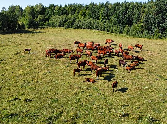 Zielone Wzgórza Warmii Gospodarstwo Rolne