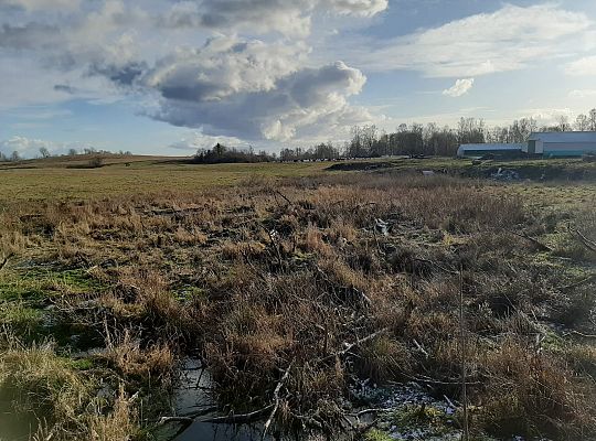 Usługi dla rolnictwa Warmia