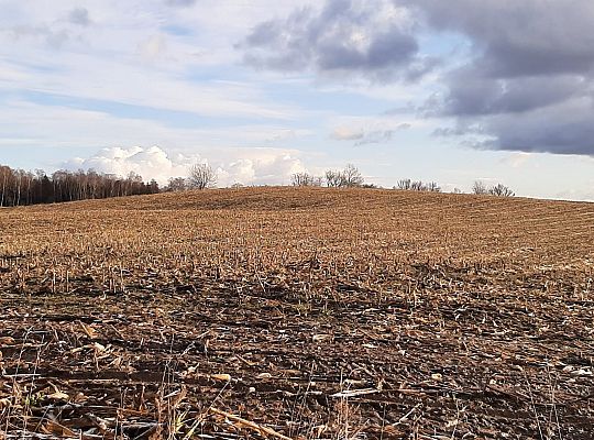 Zielone Wzgórza Warmii
