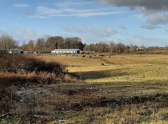 Gospodarstwo Rolne Zielone Wzgórza Warmii