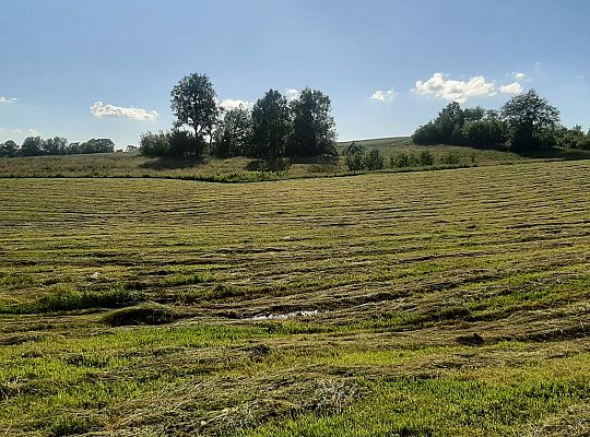 Zielone Wzgórza Warmii Gospodarstwo Rolne#3