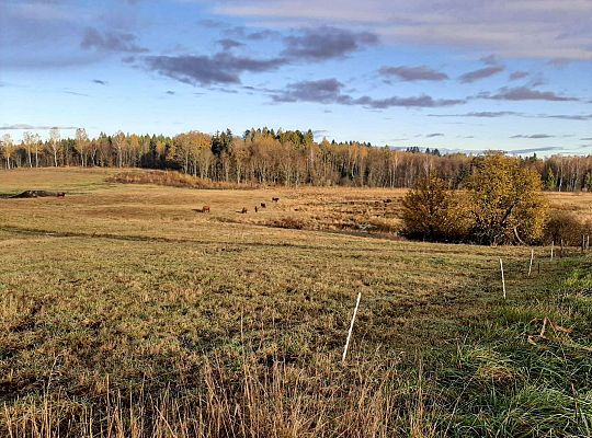 Gospodarstwo Rolne Zielone Wzgórza Warmii