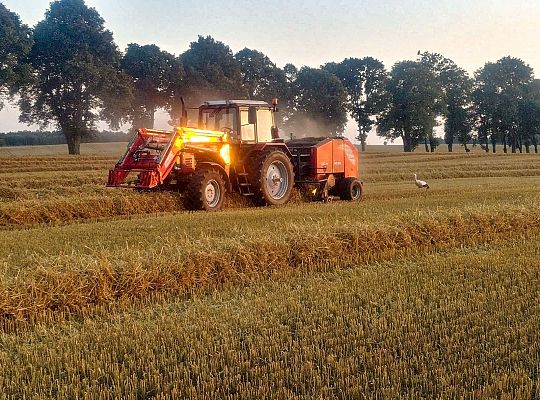 Gospodarstwo Rolne Zielone Wzgórza Warmii