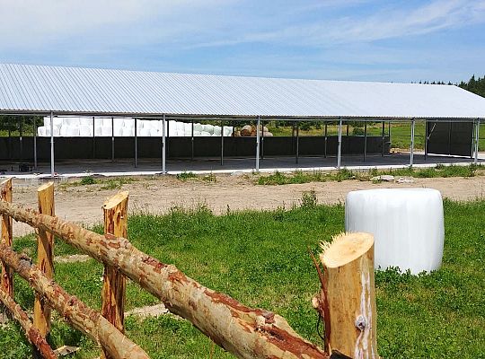 Rolnictwo Energetyka Zielone Wzgórza Warmii