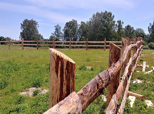 Ekologiczne gospodarstwo rolne na Warmii