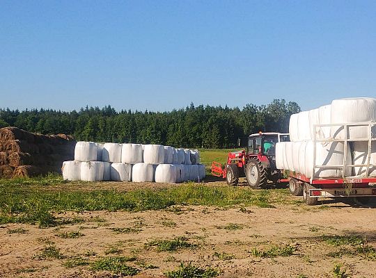 Transport płodów rolnych