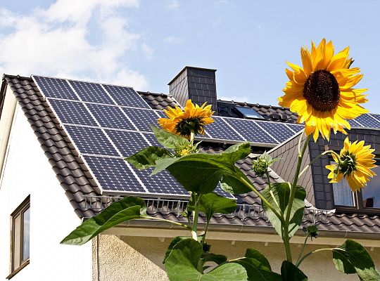 Odnawialne źródła energii elektrycznej