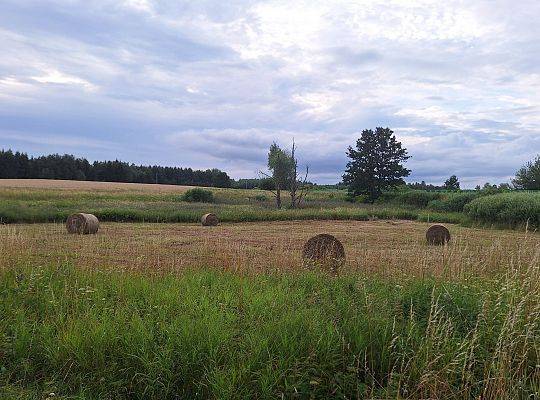 Rolnictwo ekologiczne